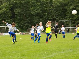 camp2016