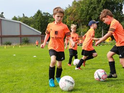 camp2017