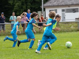 camp2024