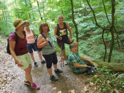 Wandertag Damen 2020